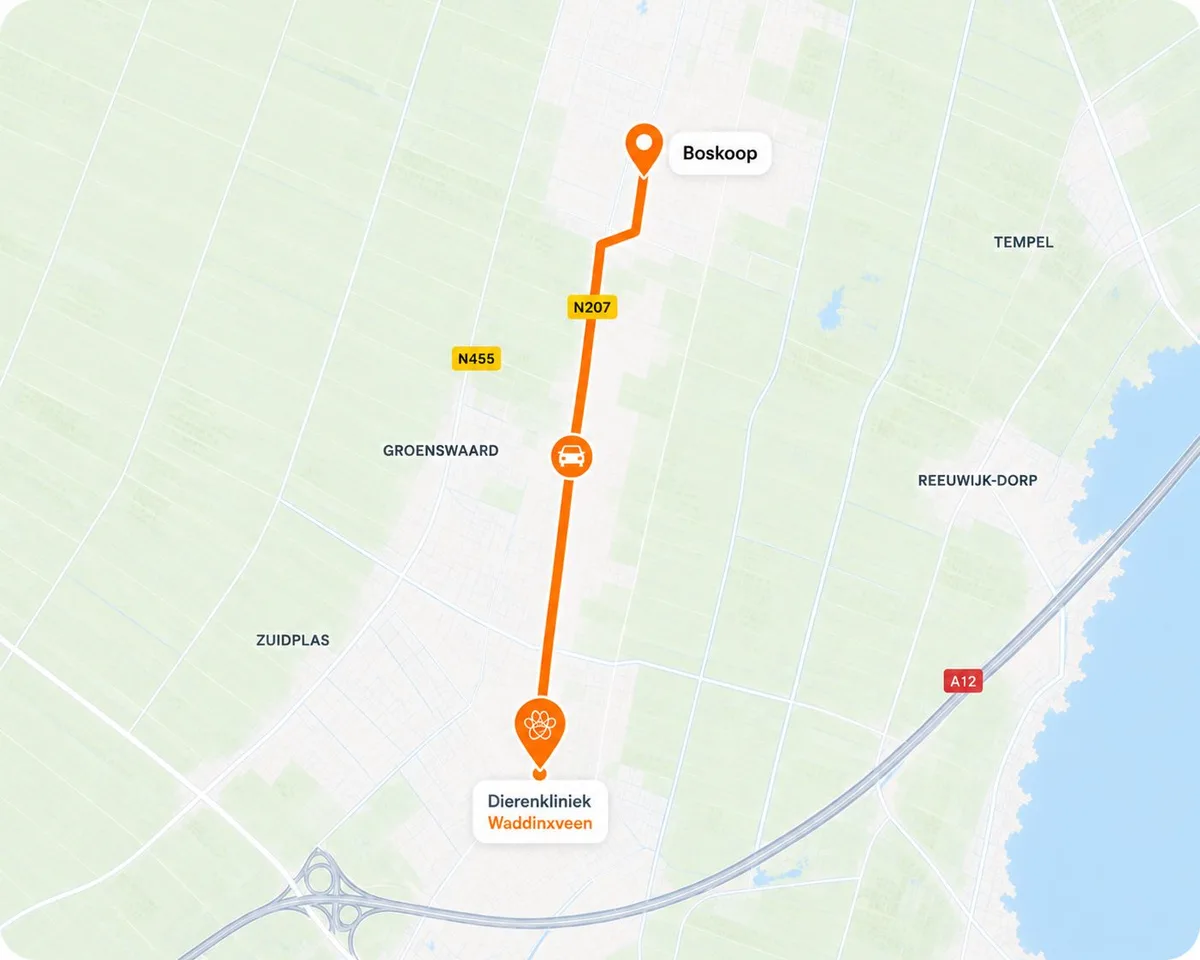 Route van Boskoop naar Dierenkliniek Waddinxveen: 5 km, 6 minuten rijden via de N207