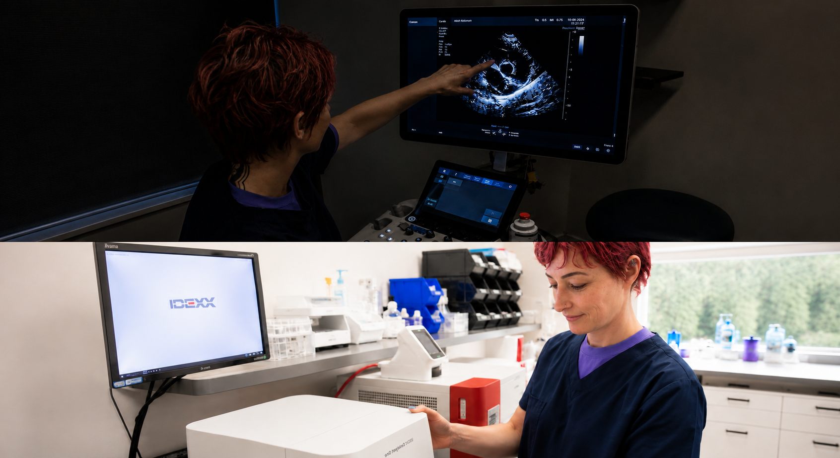 Echo in eigen huis bij Dierenkliniek Waddinxveen