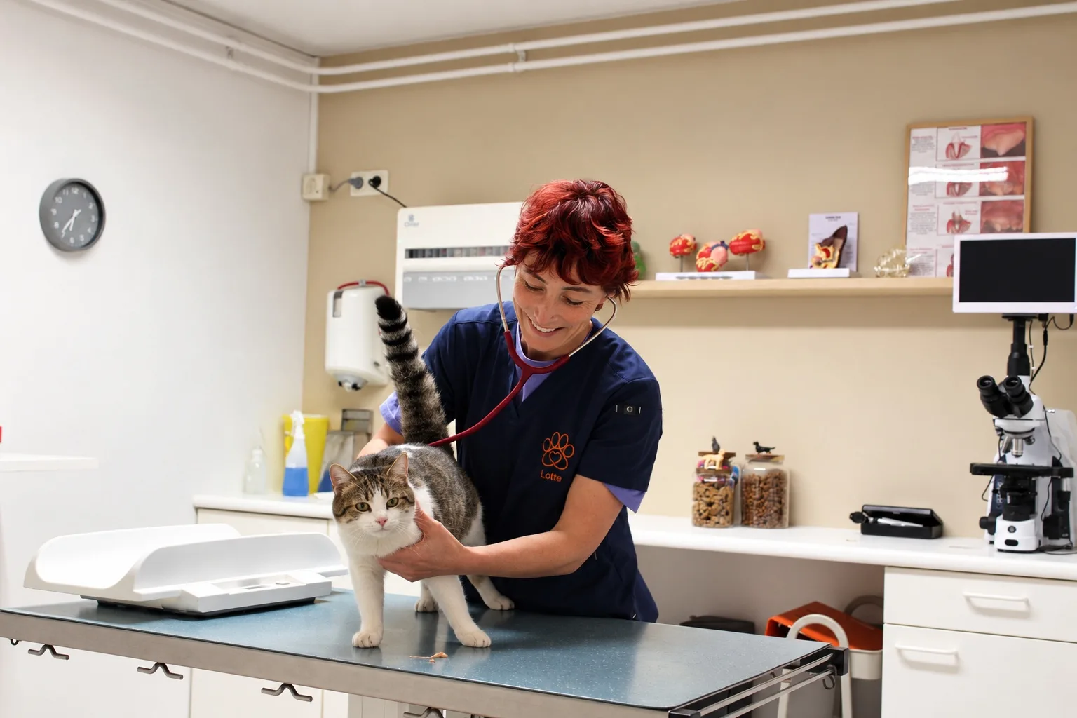 Dierenarts Lotte Godijn luistert met een stethoscoop naar een kat op de behandeltafel